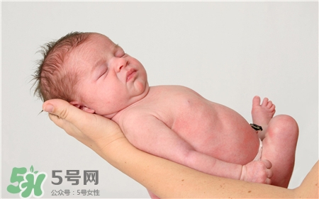 立夏出生的雞寶寶好嗎?立夏出生的寶寶小名 立夏出生的雞寶寶好嗎?立夏出生的寶寶小名