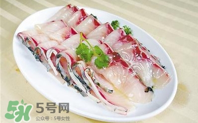 生魚是什么魚？生魚片是什么魚
