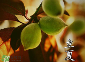 立夏吃什么水果？立夏吃什么水果好？