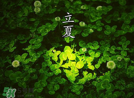 立夏吃什么水果？立夏吃什么水果好？