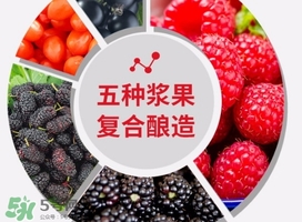 樹莓可以泡酒嗎？樹莓怎么泡酒？