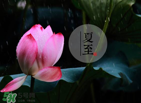 立夏和夏至有什么區(qū)別？立夏和夏至的區(qū)別