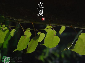 2017年立夏會下雨嗎？2017年立夏下雨好嗎？