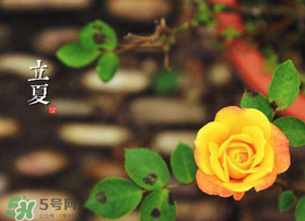 2017年立夏會下雨嗎？2017年立夏下雨好嗎？