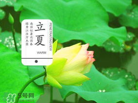 2017年立夏會下雨嗎？2017年立夏下雨好嗎？