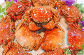 五月份有大閘蟹嗎？五月份的大閘蟹能吃嗎？