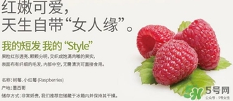 樹(shù)莓可以放冰箱嗎？樹(shù)莓可以保存幾天