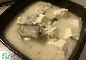 黑魚(yú)能和豆腐一起吃嗎？豆腐可以和黑魚(yú)一起吃嗎