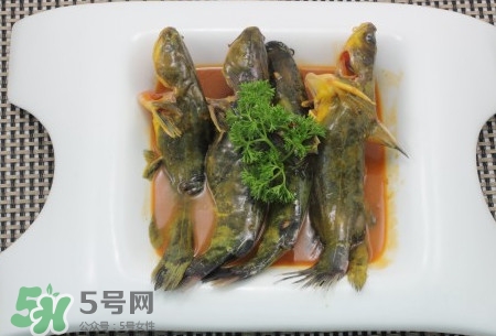 嘎魚不適合什么人吃？黃顙魚不適合什么人吃