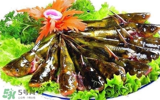 黃辣丁多少錢一斤？野生黃辣丁多少錢一斤