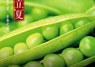 立夏吃什么好？立夏吃什么蔬菜？