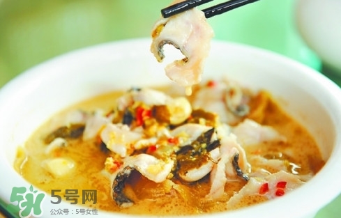 黑魚是發(fā)物嗎？黑魚是不是發(fā)物