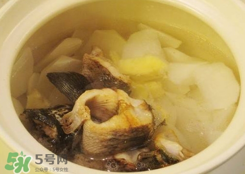 黑魚(yú)能和蘿卜一起吃嗎？黑魚(yú)能和胡蘿卜同食嗎