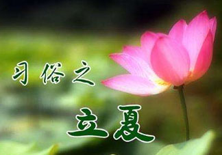 立夏和夏至有什么區(qū)別？立夏和夏至的區(qū)別