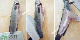 黑魚怎么切片？黑魚如何切魚片