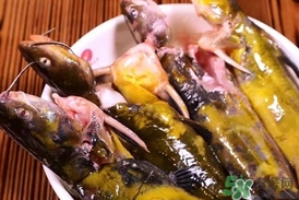 嘎魚是鯰魚嗎？嘎魚是黃辣丁嗎