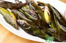 嘎魚是海魚嗎？嘎魚是什么魚