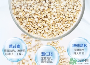 薏仁水可以天天敷嗎？薏仁水幾天敷一次？