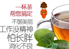 脂流茶成分 脂流茶可以減肥嗎？