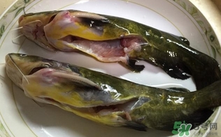 黃辣丁一斤多少錢？黃辣丁價格