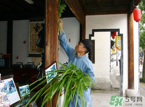 端午節(jié)門上掛的那個草叫什么？端午節(jié)掛門上的叫什么？