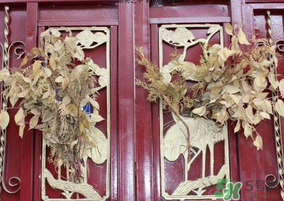 端午節(jié)門上掛的那個草叫什么？端午節(jié)掛門上的叫什么？