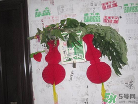 端午節(jié)門上掛的那個草叫什么？端午節(jié)掛門上的叫什么？