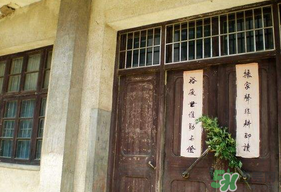 端午節(jié)插門上的是什么？端午節(jié)為什么要插艾草？