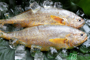 端午節(jié)為什么要吃黃魚？端午節(jié)吃黃魚的由來