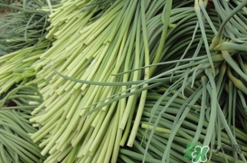 蒜薹怎么摘？蒜薹怎么擇？