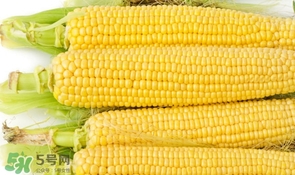 妊娠糖尿病可以吃玉米嗎？妊娠糖尿病能吃玉米嗎
