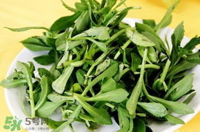 養(yǎng)心菜能生吃嗎？養(yǎng)心菜怎么吃？