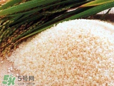 包粽子的米要泡多久？包粽子的米是什么米？