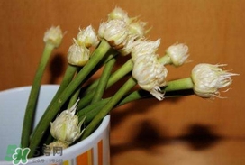 蒜薹可以放冰箱嗎？蒜薹可以冷凍嗎