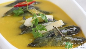 黃辣丁能和菠菜同食不？菠菜可以和黃辣丁一起吃嗎