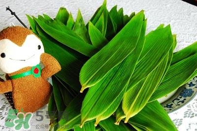 包粽子的葉子叫什么？包粽子的葉子怎么處理？