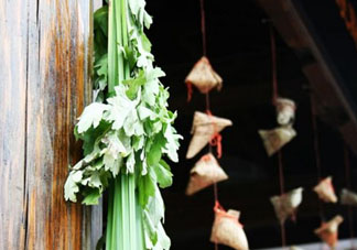 端午節(jié)門上掛的那個草叫什么？端午節(jié)掛門上的叫什么？