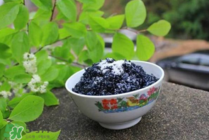 烏飯用什么葉子煮？烏飯用什么葉子圖片？