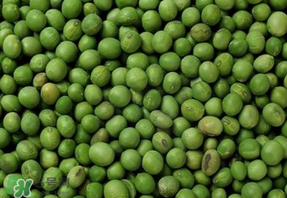 青豆可以打豆?jié){嗎？青豆能做豆?jié){嗎？