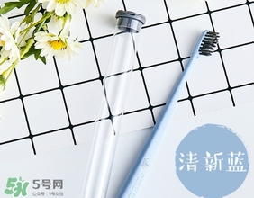 amortals爾木萄牙刷怎么樣？amortals爾木萄牙刷多少錢？