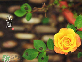 ?立夏是夏天嗎？?立夏是夏天的開(kāi)始嗎？