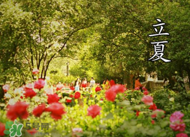 ?立夏是夏天嗎？?立夏是夏天的開(kāi)始嗎？