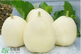 甜瓜可以帶上飛機(jī)嗎？坐飛機(jī)可以帶香瓜嗎？