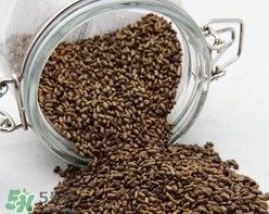 決明子泡水喝要炒熟嗎？決明子泡水的功效