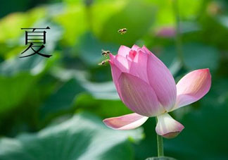 ?立夏是夏天嗎？?立夏是夏天的開(kāi)始嗎？