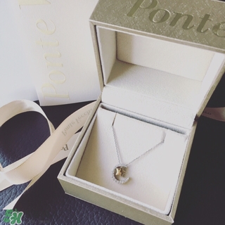 ponte vecchio星月項(xiàng)鏈怎么樣？ponte vecchio叫啥牌