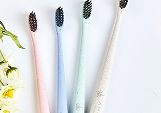 amortals爾木萄牙刷怎么樣？amortals爾木萄牙刷多少錢？