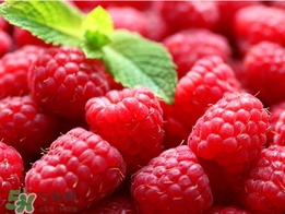 樹莓可以泡水喝嗎？樹莓泡水喝的禁忌