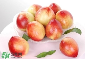 油桃什么時(shí)候成熟？油桃什么季節(jié)成熟