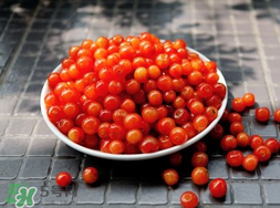 立夏嘗三新指的是什么？立夏嘗新活動